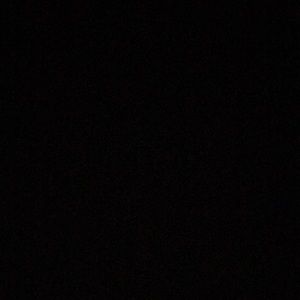 Meet your Posher, Sammy